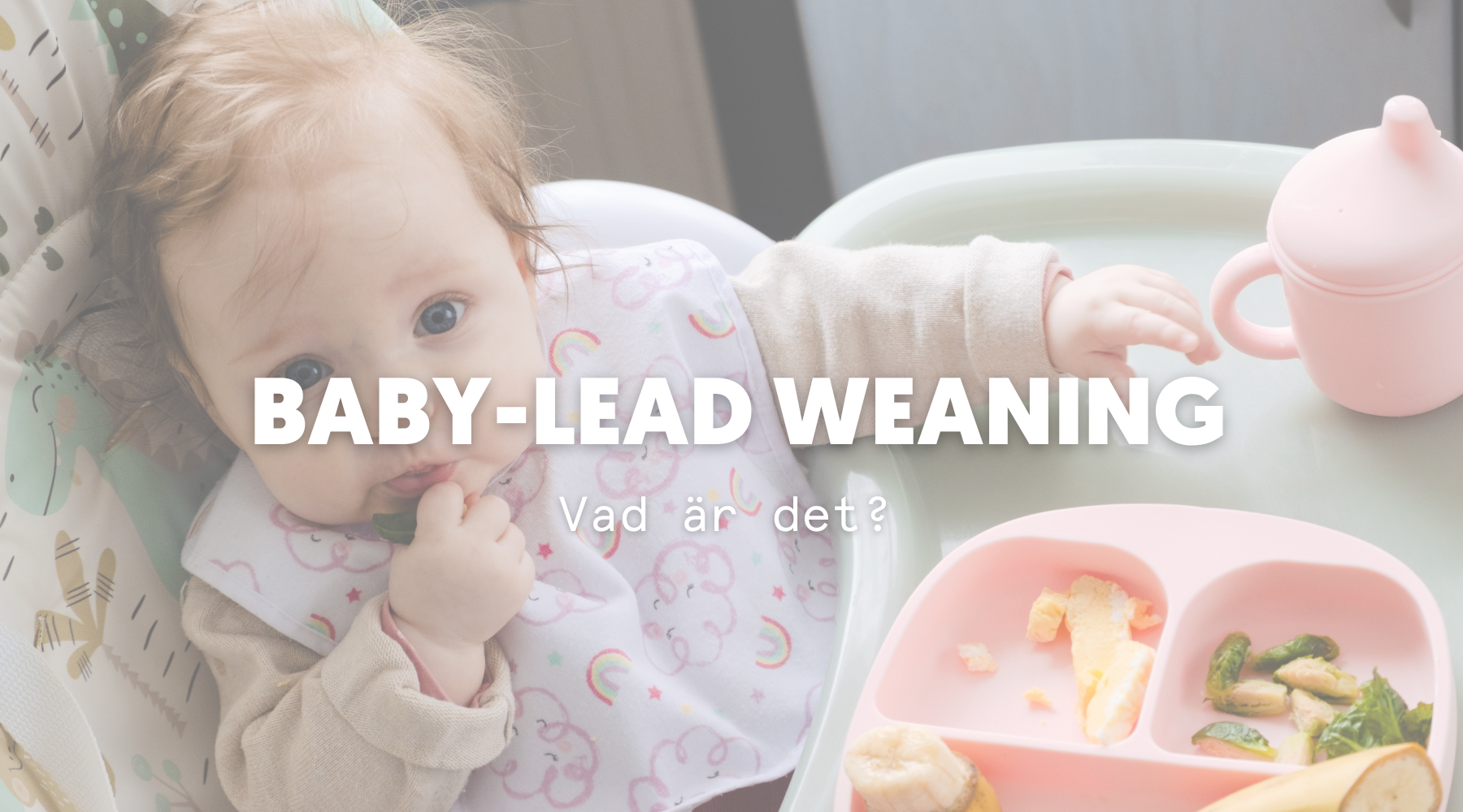 Baby-Led Weaning - Hva är det?