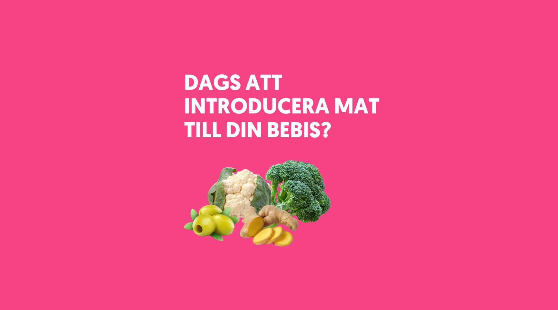 Dags att introducera mat till din bebis?